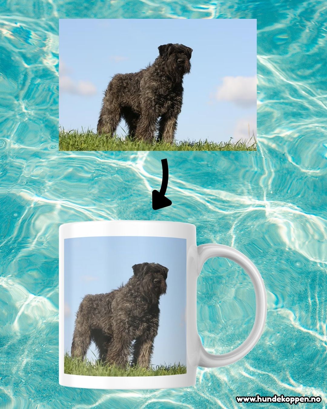 Personalisert HundeKopp - HundeKoppen